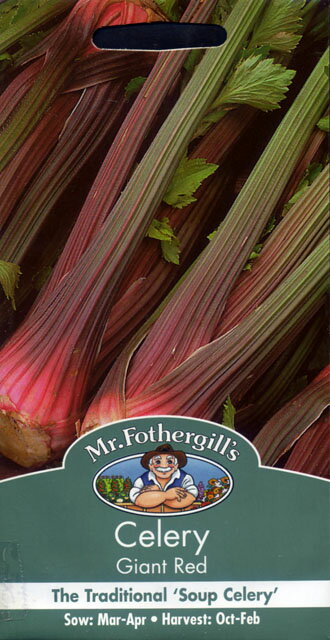 【種子】Mr.Fothergill's Seeds Celery Giant Red セロリー ジャイアント・レッド ミスター・フォザーギルズシード