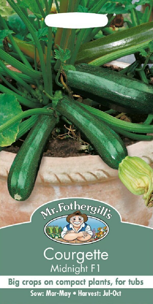 【種子】Mr.Fothergill's Seeds Courgette Midnight F1 クルジェット（スカッシュ）・ミッドナイト・F1..