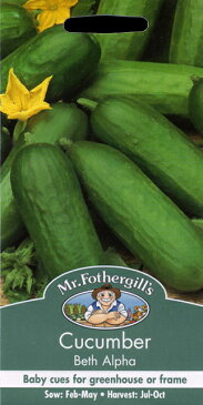 【輸入種子】Mr.Fothergill's SeedsCucumber Beth Alphaキューカンバー（きゅうり）・ベス・アルファミスター・フォザーギルズシード