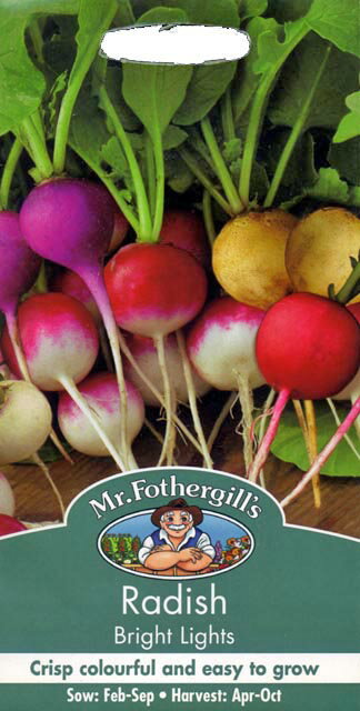 Mr.Fothergill's Seeds Radish Bright Lights ラディッシュ ブライト・ライツ ミスター・フォザーギルズシード