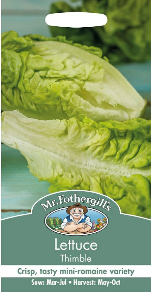 Mr.Fothergill's Seeds Lettuce Thimble レタス シンブル ミスター・フォザーギルズシード