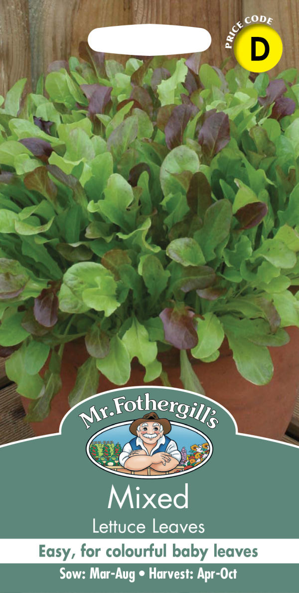 Mr.Fothergill's Seeds Mixed Lettuce Leaves ミックスド・レタス・リーブス ミスター・フォザーギルズシード
