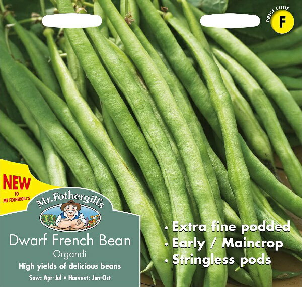 【種子】Mr.Fothergill 039 s Seeds Dwarf French Bean Organdi ドワーフ フレンチ ビーン オーガンジー ミスター フォザーギルズシード