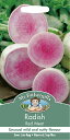 yqzMr.Fothergill's Seeds Radish Red Meat fBbV bhE~[g ~X^[EtHU[MYV[h