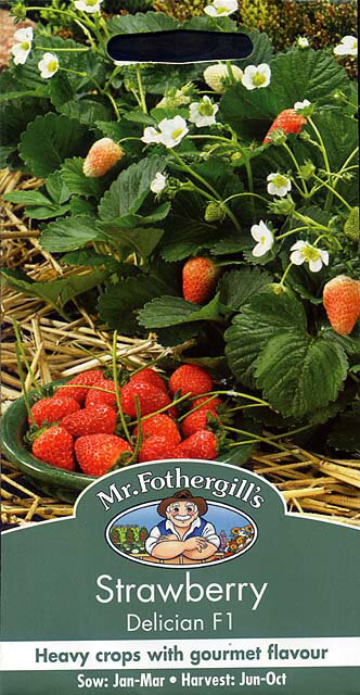 Mr.Fothergill's Seeds Strawberry Delician F1 ストロベリー デリシアン・F1 ミスター・フォザーギルズシード