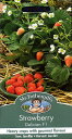 【種子】Mr.Fothergill's Seeds Strawberry Delician F1 ストロベリー デリシアン・F1 ミスター・フォザーギルズシード