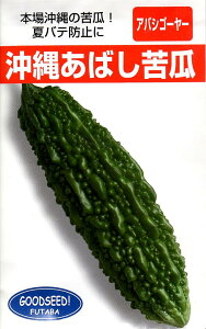 プランターで気軽に家庭菜園！夏野菜など5月に植える種や苗のおすすめは？