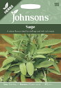 【種子】Johnsons Seeds HERBS Sage ハーブス セージ ジョンソンズシード