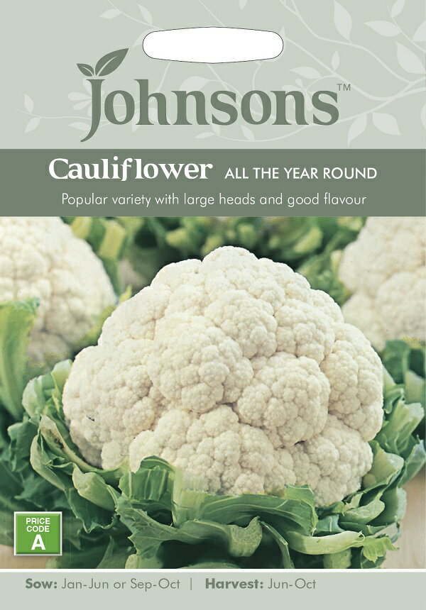 楽天Ivy【種子】Johnsons Seeds Cauliflower All The Year Round カリフラワー オール・ザ・イヤー・ラウンド ジョンソンズシード