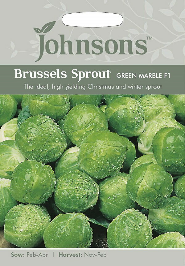【種子】Johnsons Seeds Brussels Sprout Green Marble F1 ブリュッセルズ・スプラウト（芽キャベツ） グリーン・マーブル・F1 ジョンソンズシード