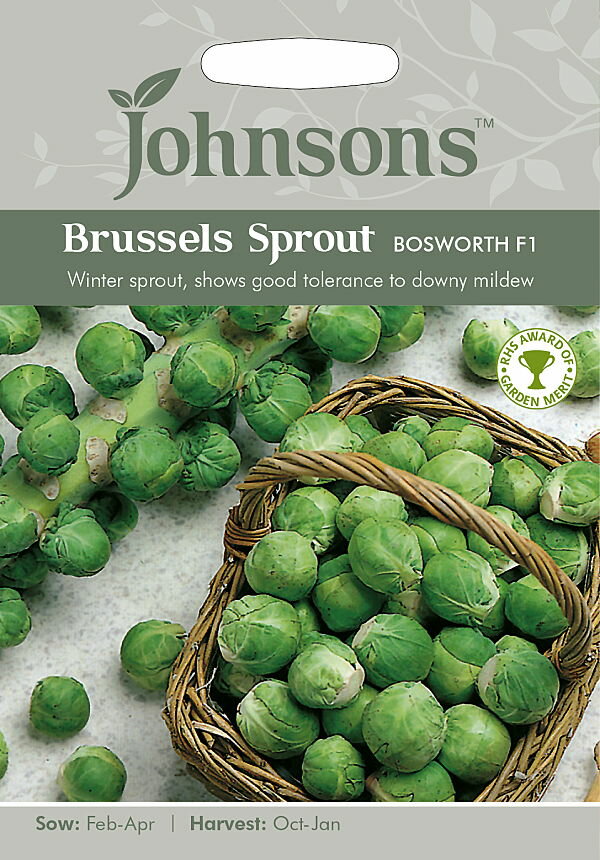 【種子】Johnsons Seeds Brussels Sprout Bosworth F1 ブリュッセルズ・スプラウト（芽キャベツ） ボスワース・F1 ジョンソンズシード