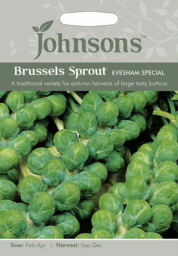 Johnsons Seeds Brussels Sprout Evesham Special ブラッセルズ・スプラウト（芽キャベツ）・イブシャム・スペシャル ジョンソンズシード