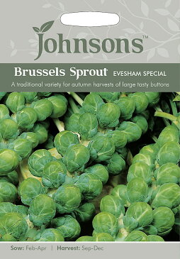 【輸入種子】Johnsons SeedsBrussels Sprout Evesham Specialブラッセルズ・スプラウト（芽キャベツ）・イブシャム・スペシャルジョンソンズシード