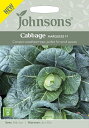 Johnsons Seeds Cabbage MARQUIS F1 キャベッジ マーキス F1 ジョンソンズシード