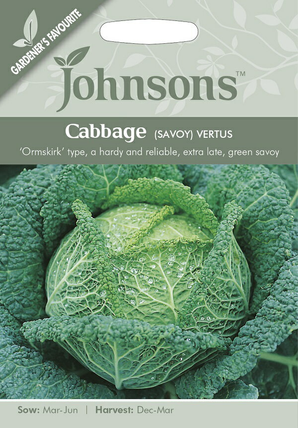 【種子】Johnsons Seeds Cabbage (SAVOY) VERTUS キャベッジ (サボイ) ヴェルテュ ジョンソンズシード
