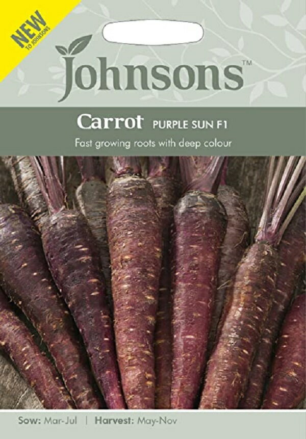 楽天Ivy【種子】Johnsons Seeds Carrot PURPLE SUN F1 キャロット パープル・サン・F1 ジョンソンズシード