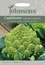 yqzJohnsons Seeds Cauliflower Romanesco Precoce Jt[ }lXREvR[`FW\YV[h
