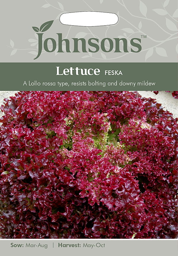 Johnsons Seeds Lettuce Feska レタス フェスカ ジョンソンズシード