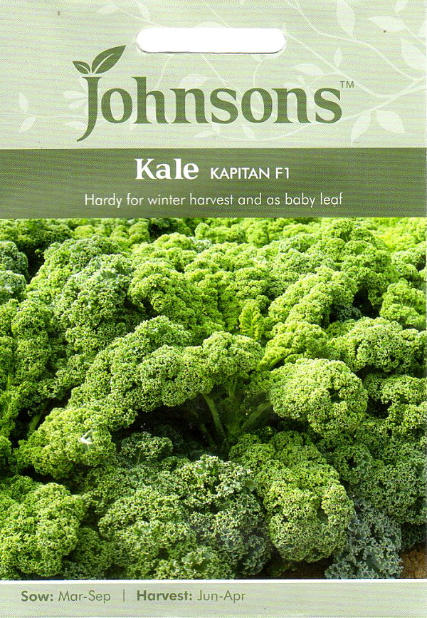 【種子】Johnsons Seeds Kale Kapitan F1 ケール カピタン・F1 ジョンソンズシード