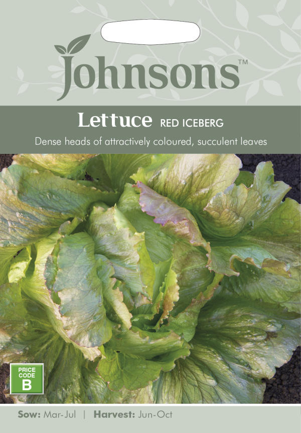 Johnsons Seeds Lettuce RED ICEBERG レタス レッド・アイスバーグ ジョンソンズシード