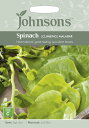 yqzJohnsons Seeds Spinach (Climbing) Malabar Xsib`icTLj}o[ W\YV[h