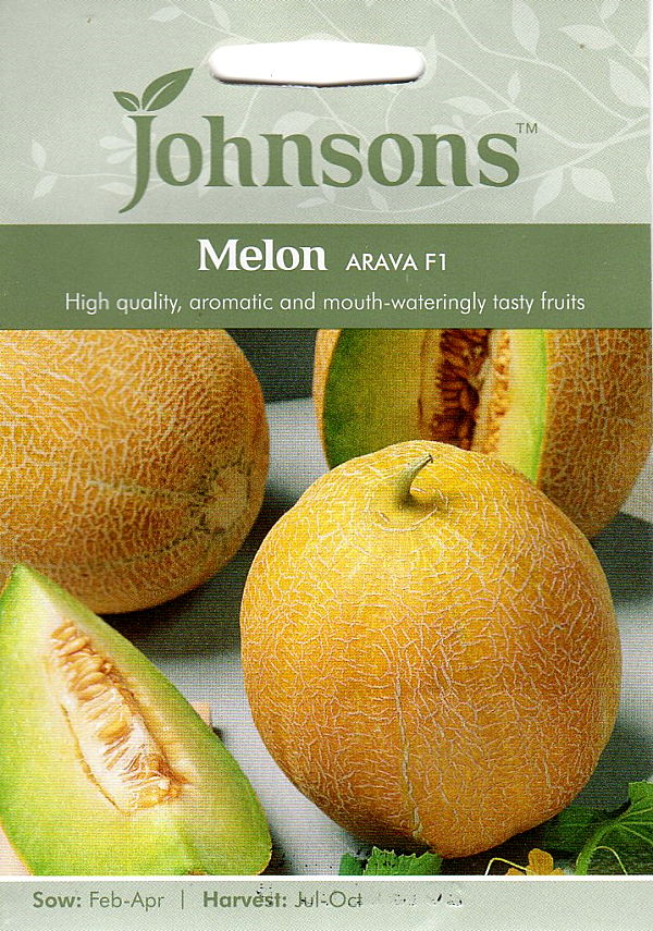 Johnsons Seeds Melon Arava F1 メロン アラヴァ・F1 ジョンソンズシード