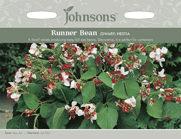 Johnsons Seeds Runner Bean (DWARF) HESTIA ランナー・ビーン・ヘスティア ジョンソンズシード