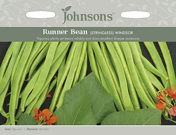 ڼҡJohnsons Seeds Runner Bean (STRINGLESS) WINDSOR ʡӡ(ȥ󥰥쥹)...