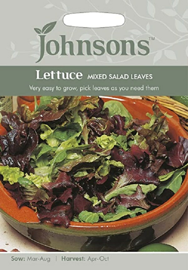 Johnsons Seeds Lettuce MIXED SALAD LEAVES レタス ミックス・サラダ・リーブス ジョンソンズシード