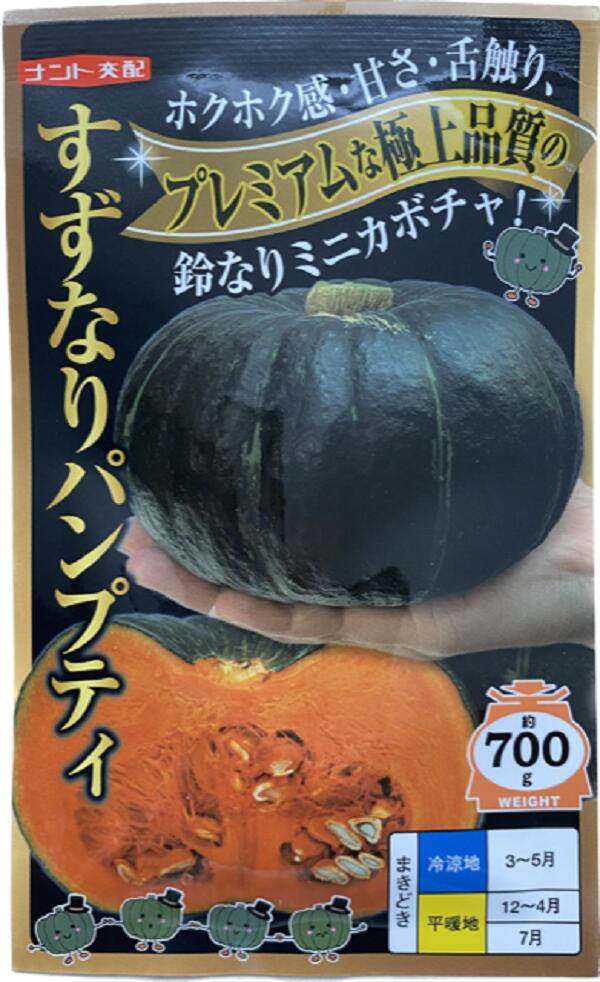 【種子】かぼちゃ すずなりパンプティ ナント種苗のタネ