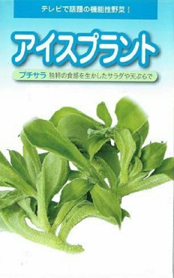 ＜家庭菜園＞夏から秋に収穫できる！珍しい野菜を教えて