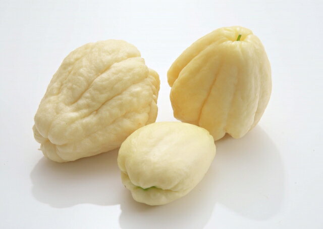 【野菜球根】ハヤトウリ（白種）1球入 日本タネセンターのサムネイル