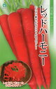 【種子】一代交配にんじん レッドハーモニー 丸種のタネ