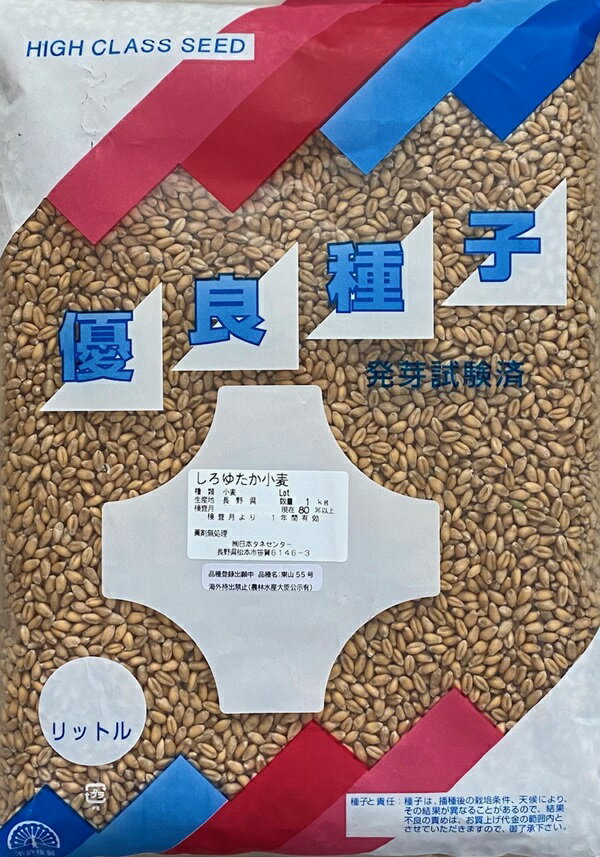 【種子】しろゆたか小麦 1kg 日本タネセンターのタネ農林水産省品種登録出願中 登録品種名 東山55号海外持出禁止