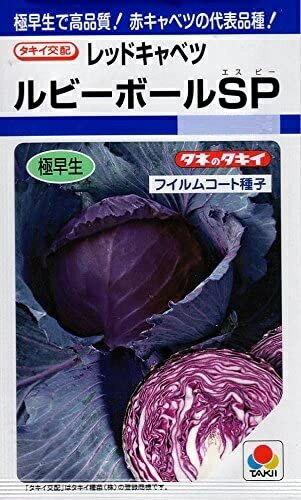 【種子】レッドキャベツ ルビーボールSP タキイ...の商品画像