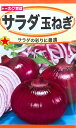 【種子】サラダ玉ねぎ トーホクのタネ
