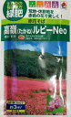 【種子】高嶺ルビーNeo 赤花そば タキイ種苗のタネ 農林水産省登録品種 登録名：高嶺ルビー2011