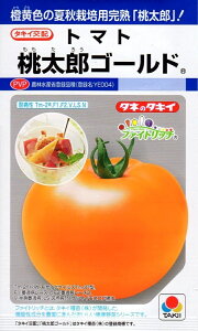 【種子】トマト 桃太郎ゴールド タキイ種苗のタネ 農林水産省登録品種 登録名:YE004