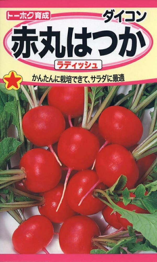 【種子】赤丸はつかラディッシュ トーホクのタネ