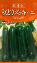 【種子】秋どりズッキーニ ピッコラ トーホクのタネ