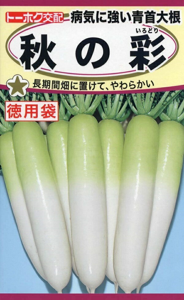 【種子】病気に強い青首大根 秋の彩 徳用袋 トーホクのタネのサムネイル