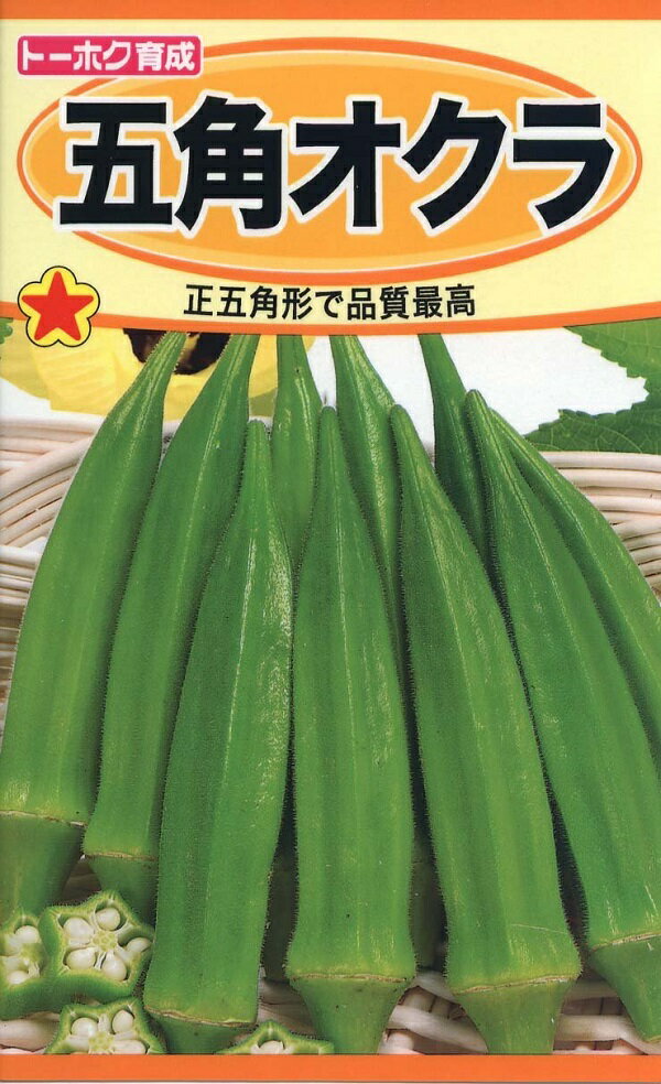 【種子】五角オクラ トーホクのタネのサムネイル