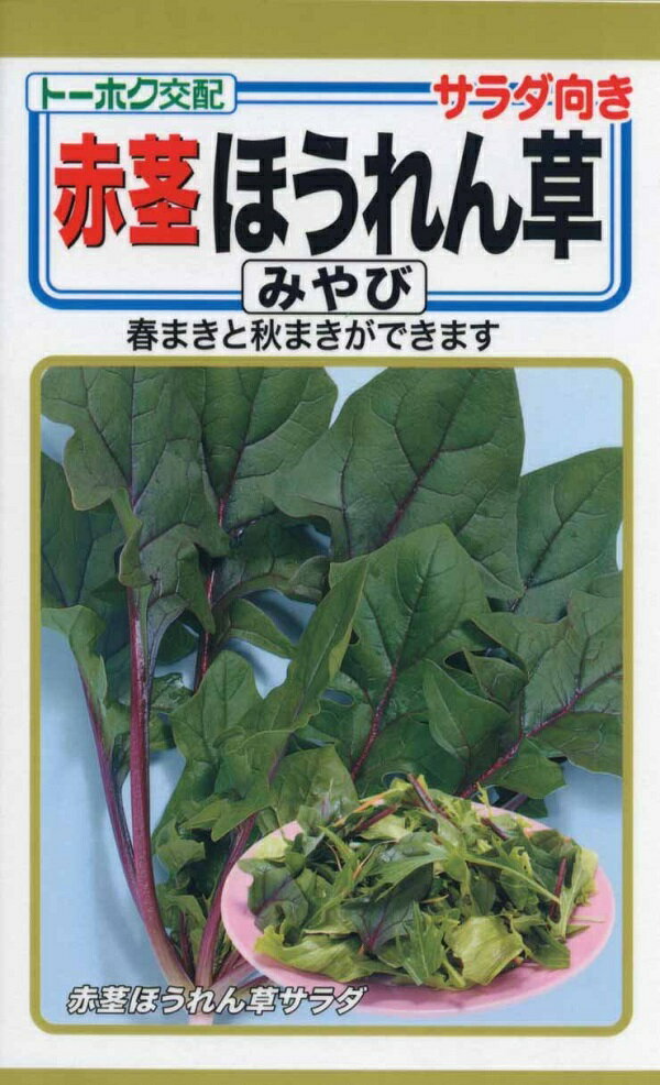 【種子】サラダ向き 赤茎ほうれん草 みやび トーホクのタネ