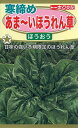 【種子】寒締めあまーいほうれん草 ほうおう トーホクのタネ