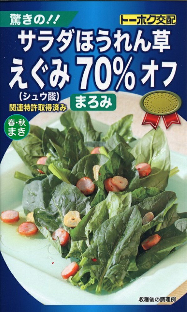 【種子】サラダほうれん草 えぐみ70％オフ まろみ トーホクのタネ