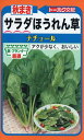 【種子】秋まき サラダほうれん草 ナチュール トーホクのタネ
