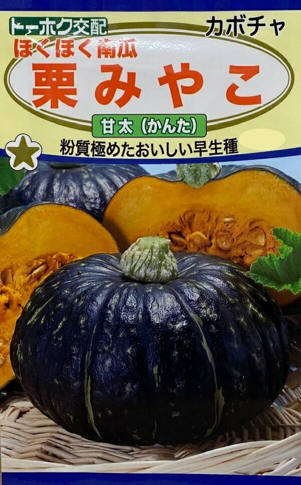 【種子】カボチャ 栗みやこ 甘太(かんた) トーホクのタネ