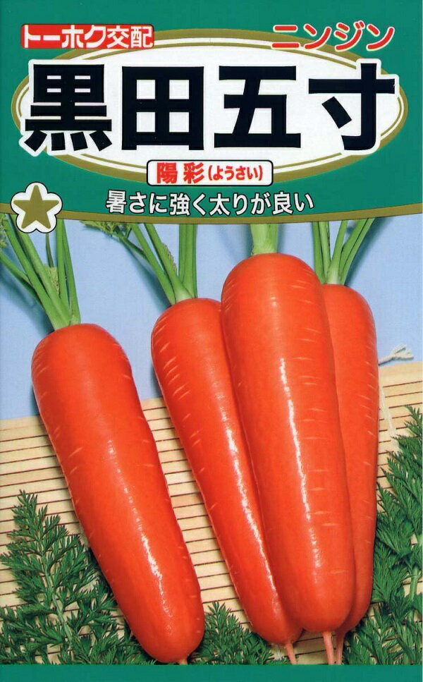 【種子】ニンジン 黒田五寸 陽彩（ようさい） トーホクのタネ