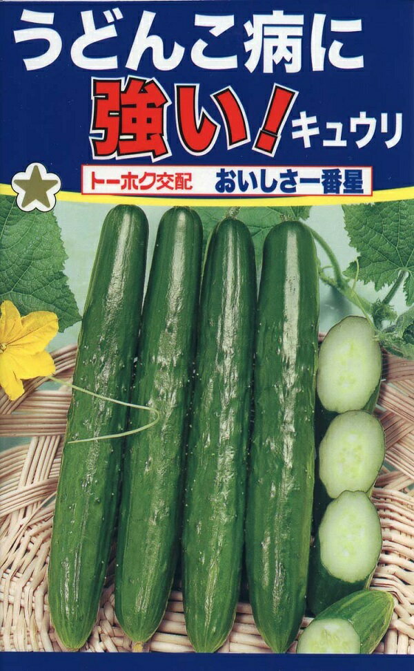 【種子】キュウリ おいしさ一番星 トーホクのタネのサムネイル