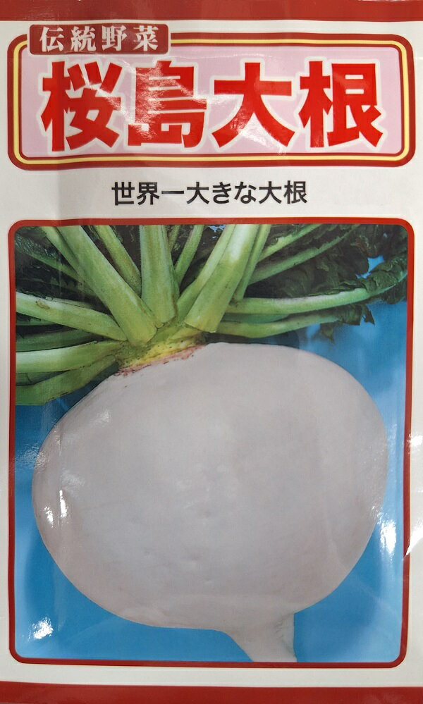 野菜種子 伝統野菜 桜島大根 世界一大きな大根 トーホクのタネのサムネイル